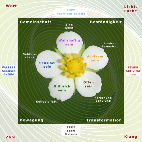20250407-Blume-Leitbild-V2-2 - Stand DV 2025